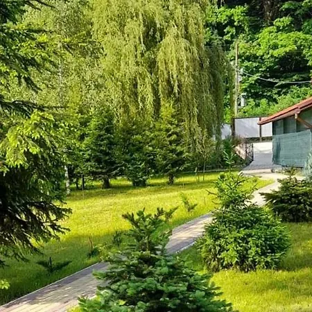 Садиба Срібний Вовк Sasivka Exterior photo