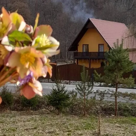 Садиба Срібний Вовк Sasivka Exterior photo