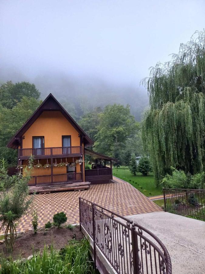 срібний вовк Holiday home
