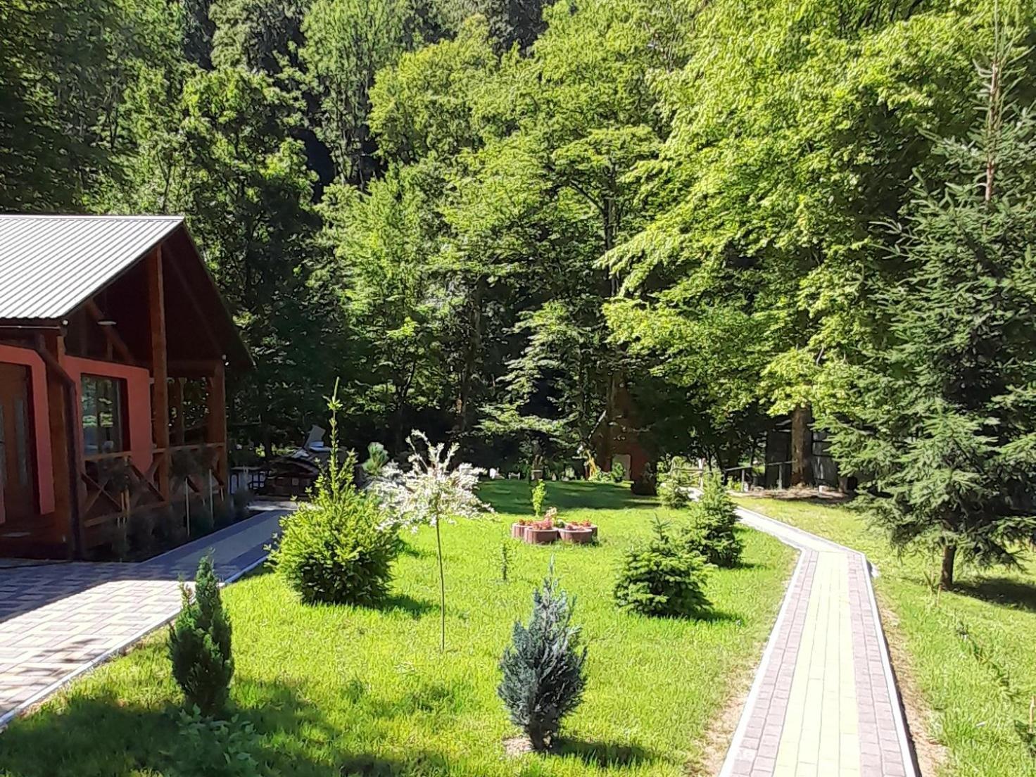 Holiday home срібний вовк Sasivka