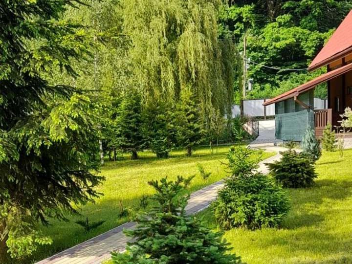 срібний вовк Holiday home Sasivka